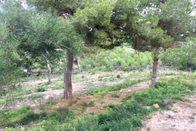 Grundstück zum Verkauf in Javea