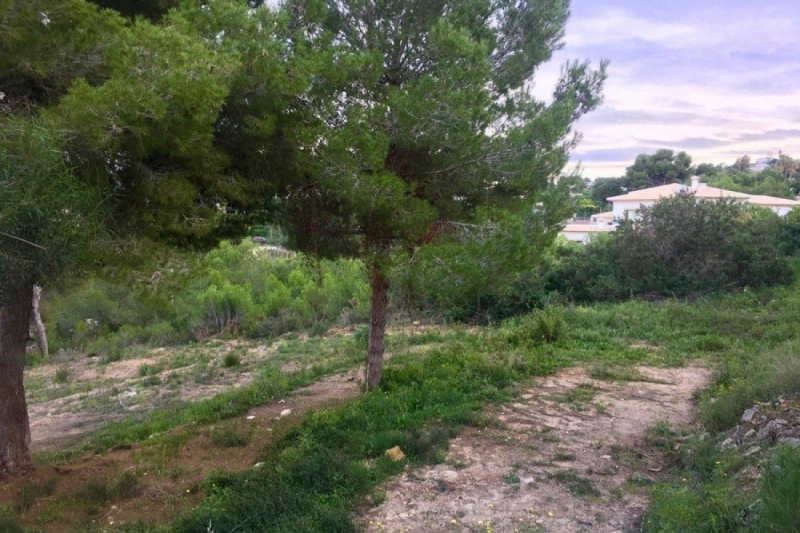 Plot for Sale in Javea